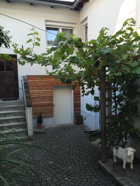 Pension Sunnseitn - Gasthof - Cafe - Weinkeller Haslach an der Muhl Exterior photo