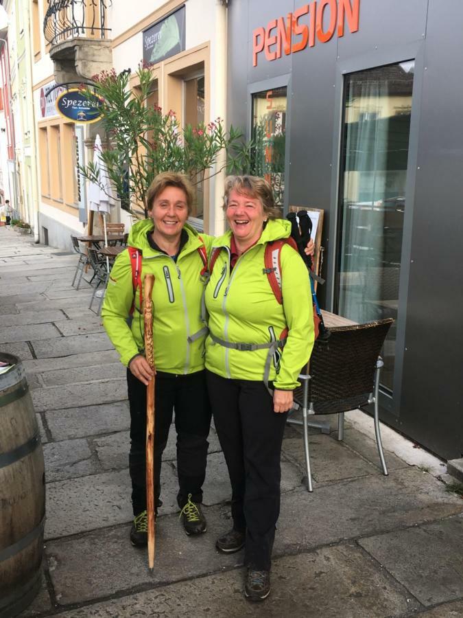Pension Sunnseitn - Gasthof - Cafe - Weinkeller Haslach an der Muhl Exterior photo